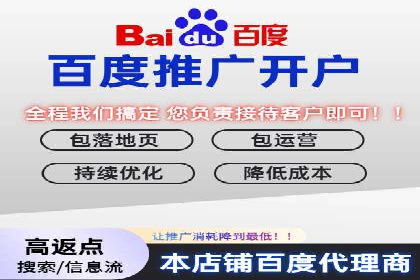 百度竞价价格解析，成功案例分享